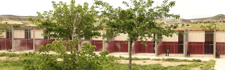 4 zarpas cabecera 1400x437 1 768x240