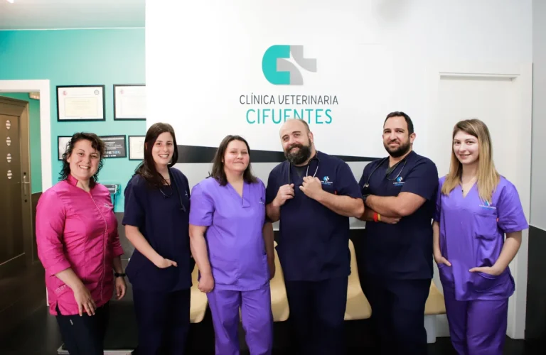 clinica veterinaria cifuentes cabecera 1228x800 1 768x500